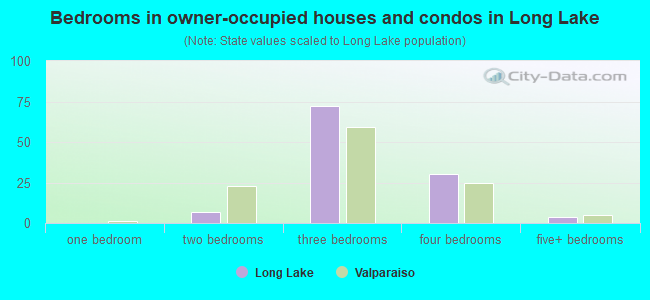Bedrooms in owner-occupied houses and condos in Long Lake