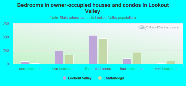 Bedrooms in owner-occupied houses and condos in Lookout Valley