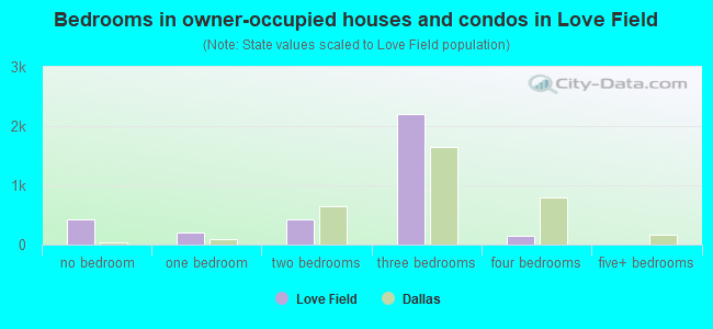 Bedrooms in owner-occupied houses and condos in Love Field