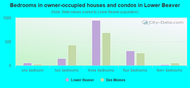 Bedrooms in owner-occupied houses and condos in Lower Beaver