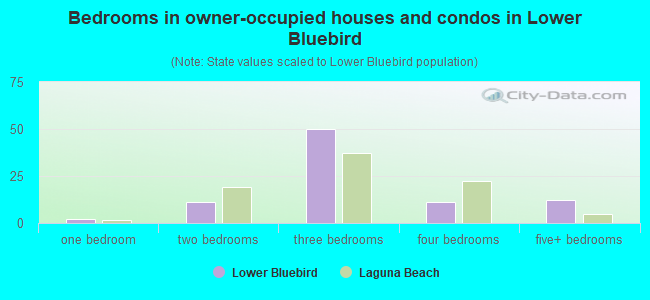 Bedrooms in owner-occupied houses and condos in Lower Bluebird