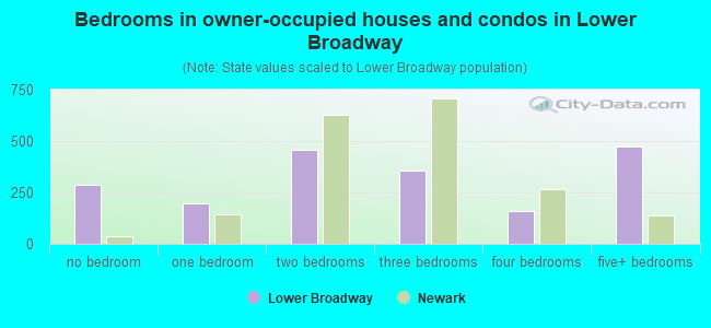 Bedrooms in owner-occupied houses and condos in Lower Broadway