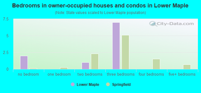 Bedrooms in owner-occupied houses and condos in Lower Maple