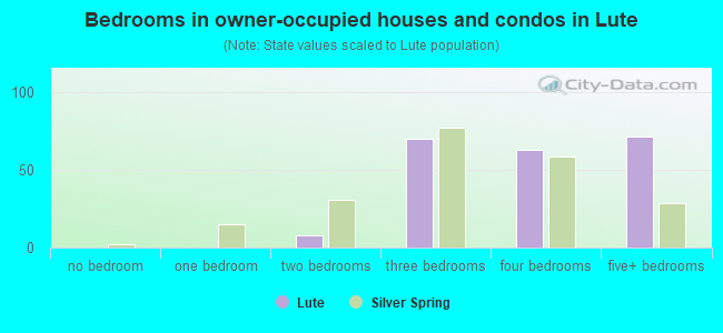 Bedrooms in owner-occupied houses and condos in Lute