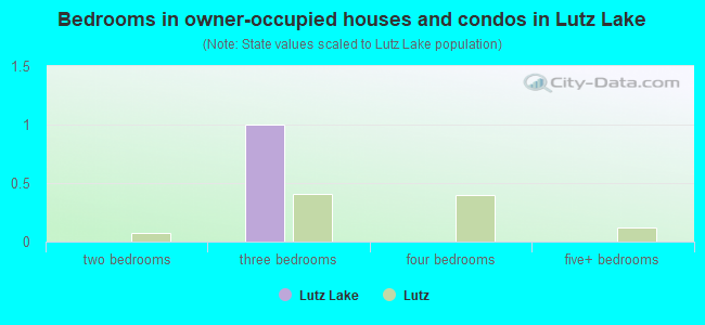 Bedrooms in owner-occupied houses and condos in Lutz Lake