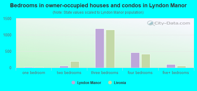 Bedrooms in owner-occupied houses and condos in Lyndon Manor