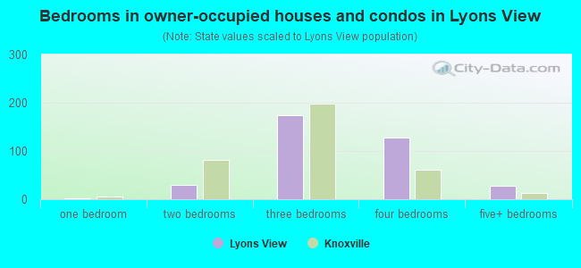 Bedrooms in owner-occupied houses and condos in Lyons View