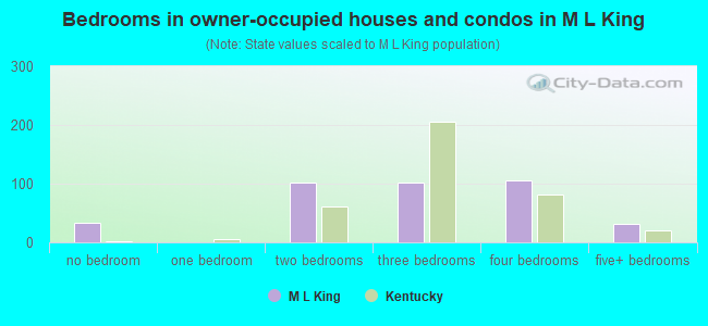 Bedrooms in owner-occupied houses and condos in M L King