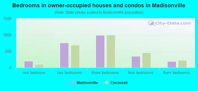 Bedrooms in owner-occupied houses and condos in Madisonville