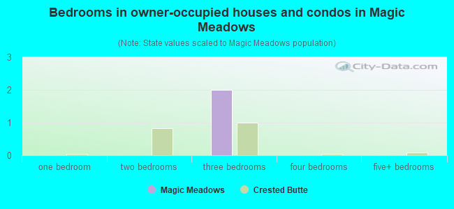 Bedrooms in owner-occupied houses and condos in Magic Meadows