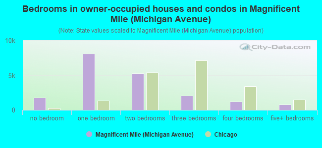 Bedrooms in owner-occupied houses and condos in Magnificent Mile (Michigan Avenue)