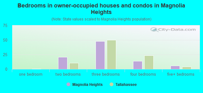 Bedrooms in owner-occupied houses and condos in Magnolia Heights