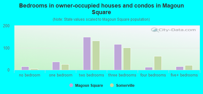 Bedrooms in owner-occupied houses and condos in Magoun Square
