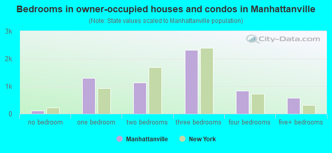 Bedrooms in owner-occupied houses and condos in Manhattanville