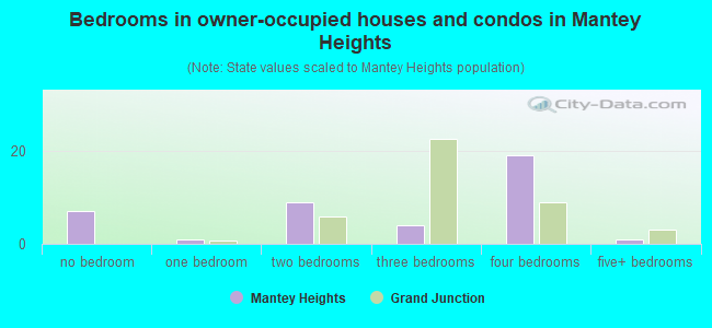 Bedrooms in owner-occupied houses and condos in Mantey Heights