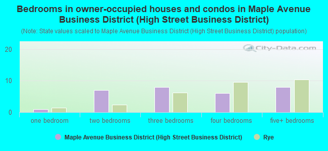 Bedrooms in owner-occupied houses and condos in Maple Avenue Business District (High Street Business District)