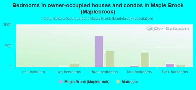 Bedrooms in owner-occupied houses and condos in Maple Brook (Maplebrook)