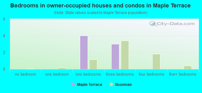 Bedrooms in owner-occupied houses and condos in Maple Terrace