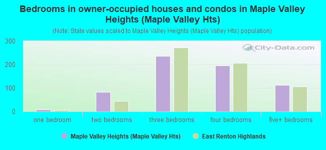 Bedrooms in owner-occupied houses and condos in Maple Valley Heights (Maple Valley Hts)