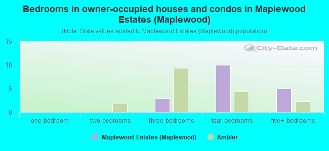 Bedrooms in owner-occupied houses and condos in Maplewood Estates (Maplewood)