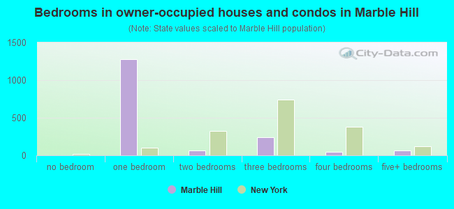 Bedrooms in owner-occupied houses and condos in Marble Hill