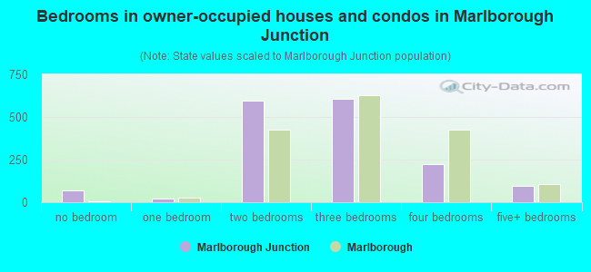 Bedrooms in owner-occupied houses and condos in Marlborough Junction