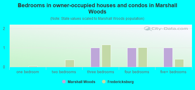 Bedrooms in owner-occupied houses and condos in Marshall Woods