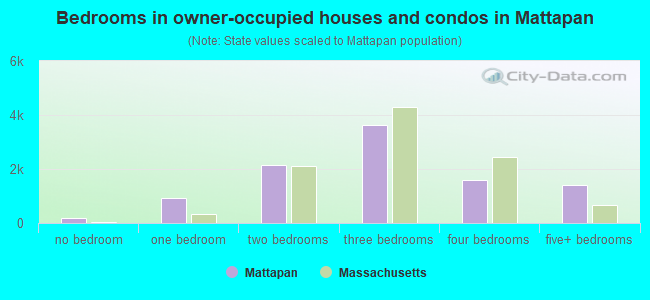 Bedrooms in owner-occupied houses and condos in Mattapan