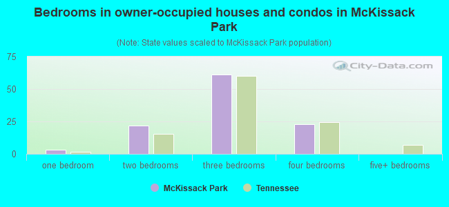 Bedrooms in owner-occupied houses and condos in McKissack Park