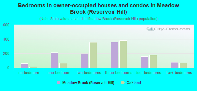 Bedrooms in owner-occupied houses and condos in Meadow Brook (Reservoir Hill)