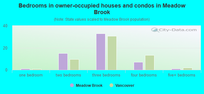Bedrooms in owner-occupied houses and condos in Meadow Brook