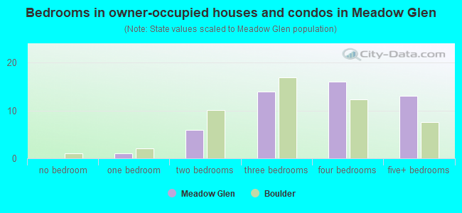 Bedrooms in owner-occupied houses and condos in Meadow Glen