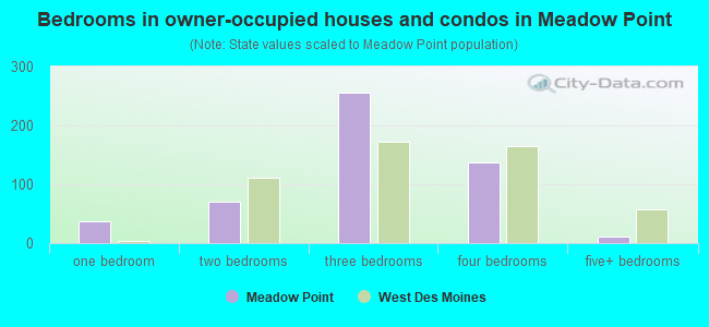 Bedrooms in owner-occupied houses and condos in Meadow Point