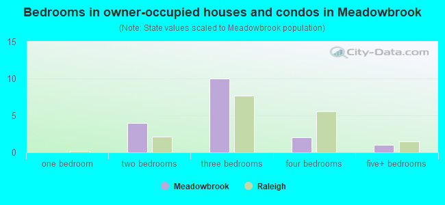 Bedrooms in owner-occupied houses and condos in Meadowbrook