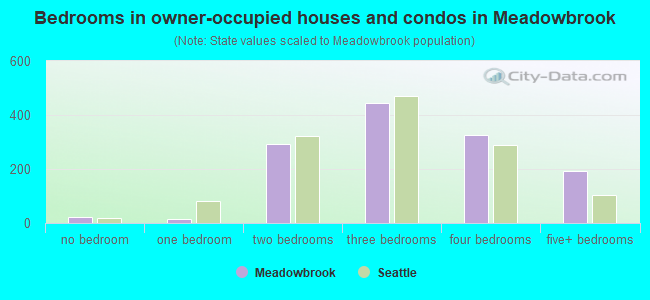Bedrooms in owner-occupied houses and condos in Meadowbrook