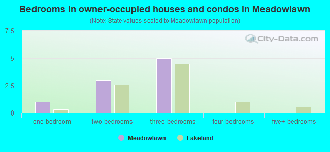 Bedrooms in owner-occupied houses and condos in Meadowlawn
