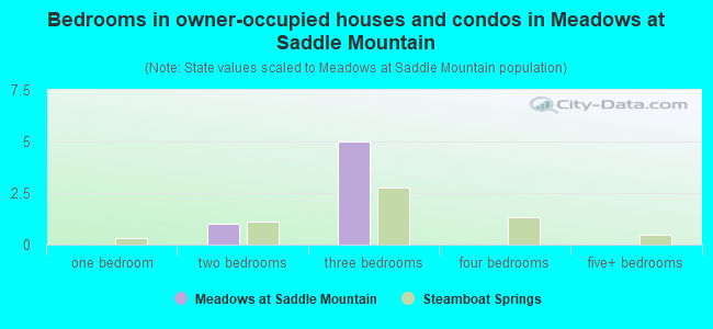 Bedrooms in owner-occupied houses and condos in Meadows at Saddle Mountain