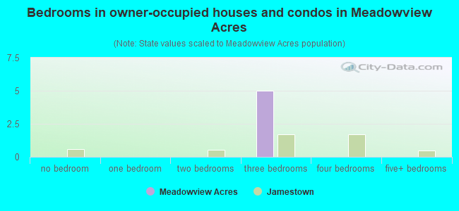 Bedrooms in owner-occupied houses and condos in Meadowview Acres