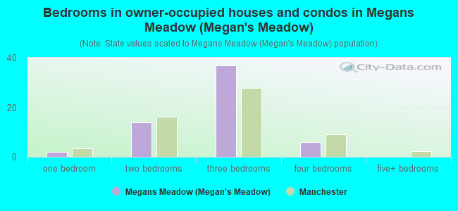 Bedrooms in owner-occupied houses and condos in Megans Meadow (Megan's Meadow)