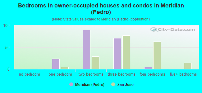 Bedrooms in owner-occupied houses and condos in Meridian (Pedro)
