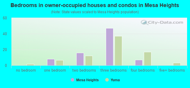 Bedrooms in owner-occupied houses and condos in Mesa Heights