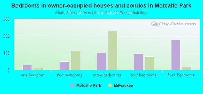 Bedrooms in owner-occupied houses and condos in Metcalfe Park