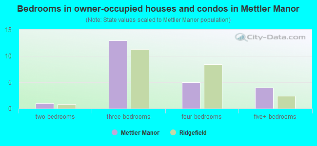 Bedrooms in owner-occupied houses and condos in Mettler Manor