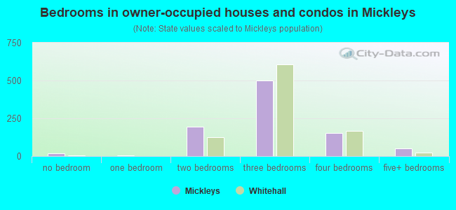 Bedrooms in owner-occupied houses and condos in Mickleys