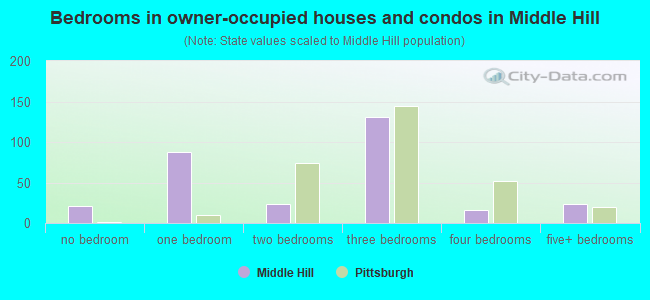 Bedrooms in owner-occupied houses and condos in Middle Hill