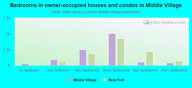 Bedrooms in owner-occupied houses and condos in Middle Village