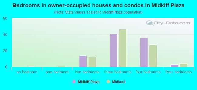 Bedrooms in owner-occupied houses and condos in Midkiff Plaza
