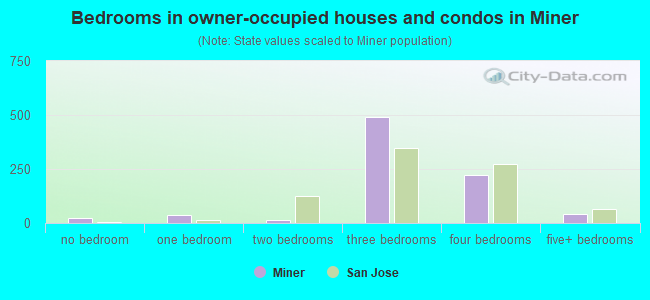 Bedrooms in owner-occupied houses and condos in Miner