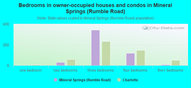 Bedrooms in owner-occupied houses and condos in Mineral Springs (Rumble Road)