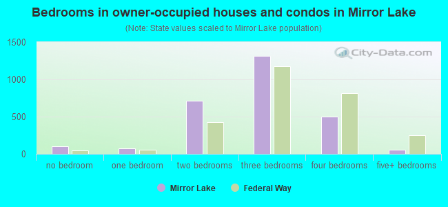 Bedrooms in owner-occupied houses and condos in Mirror Lake